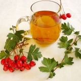 Cvjetovi gloga: kako skuhati i piti